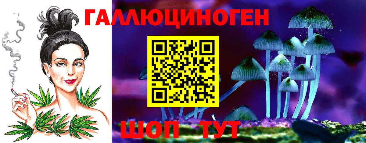 Черкесск  Галлюциногенные грибы GOLDEN TEACHER  Вход с VPN  сколько стоит  Псилоцибиновые грибы Magic Shrooms 